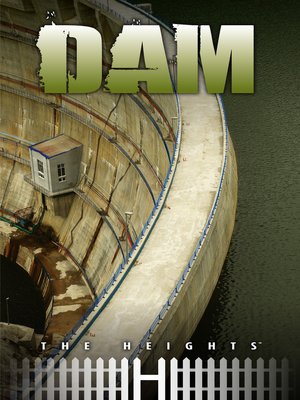 cover image of Dam